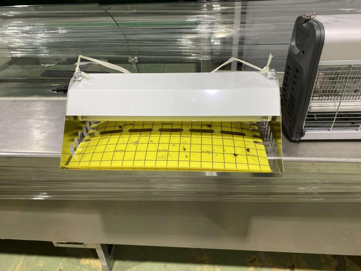 Rovarcsapda Flytrap Commercial ragadólapos – termékfotó bal oldalról